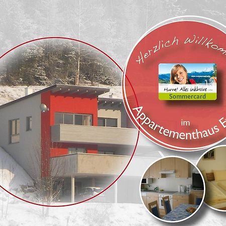 Appartementhaus Evelyn シュラートミンク エクステリア 写真
